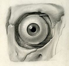 a pencil drawing of an eyeball