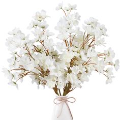 white flowers in a glass vase tied with a bow on a white background for decoration