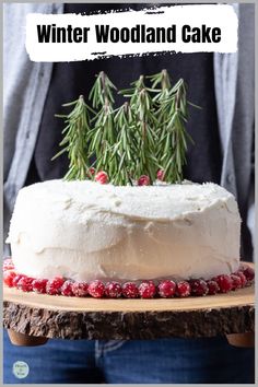 Cake with white sparkling frosting to look like snow, sugared cranberries around the edge and rosemary stems on top for trees. Two Layer Cakes, Woodland Cake, Vanilla Pudding Mix, Winter Woodland, Delicious Cake, Cake Tasting, Holiday Cakes, No Bake Treats, Easter Recipes