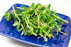 Want Lower Sugar Levels? Here's Why Eating Purslane Will Do The Trick - Alkaline Valley Pan Fried Eggplant, Lower Sugar Levels, Hemorrhoid Remedies, Colon Health, Vinegar Dressing, Light Salad, Diet Lifestyle