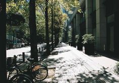 two bikes parked on the side of a street next to tall buildings and tree's