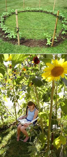 two pictures with sunflowers and the words grow house for the kids to play in