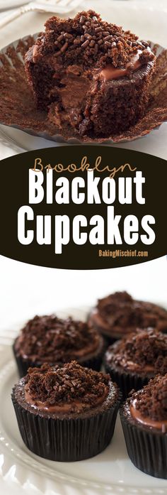 chocolate cupcakes on a white plate with the words blackout cupcakes above them