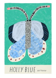 a drawing of a butterfly on a green background with the words holly blue written below it