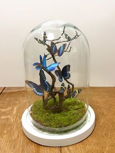 a glass dome with some blue butterflies in it on a wooden table next to a tree