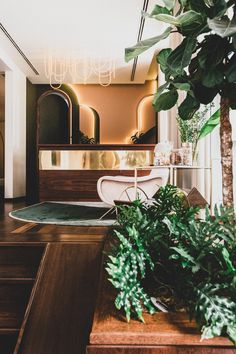 a living room filled with lots of plants next to a wooden table and chairs in front of a mirror