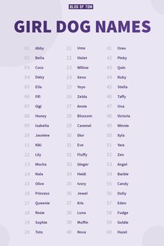 the girl dog names list is shown in purple