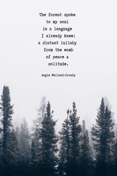 the forest quote is shown in black and white