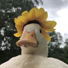 a close up of a duck with a sunflower on it's head and trees in the background