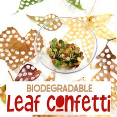 leaf confetti on a plate with the words biodegraable leaf confetti