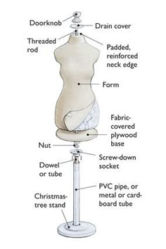 an image of the parts of a pregnant woman's breast on a mannequin