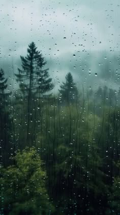 rain drops on the window and trees in the foreground, as seen from outside