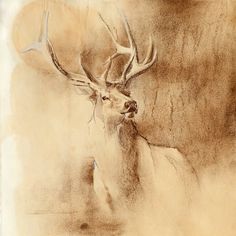 a drawing of a deer with large antlers on it's head and neck