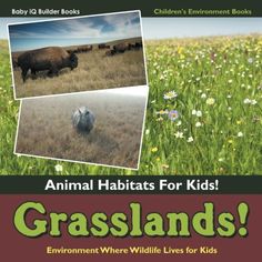 an animal habitat for kids grasslands