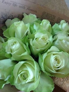 a bouquet of green roses sitting on top of a piece of paper