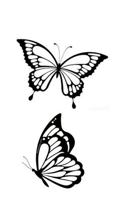 two black and white butterflies flying side by side on a white background, one is facing the opposite direction