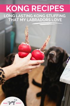 a woman holding two red tomatoes in front of her dog with the title kong recipes longlasing kong stuffing that my labradors love