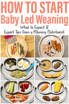 baby led weaning the 1st month what to expect and expert tips