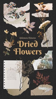 the book cover for dried flowers is shown with torn paper and other things on it