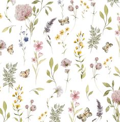 watercolor flowers and butterflies on a white background