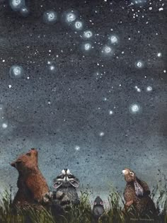 three raccoons looking up at the stars in the sky