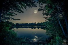 the moon is shining over a lake surrounded by trees