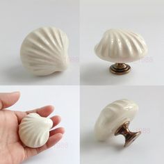 four different pictures of seashells with one being held in the air by a hand