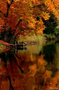 an autumn scene with trees reflecting in the water and colorful leaves on the trees surrounding it