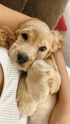 a woman is holding a puppy in her arms while she holds it on her lap