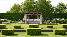 a garden with hedges and couches in the middle