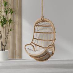 a rattan swing chair hanging from a rope next to a potted plant