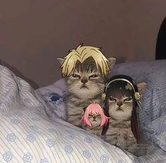 two cats sitting on top of a bed next to each other wearing headgear