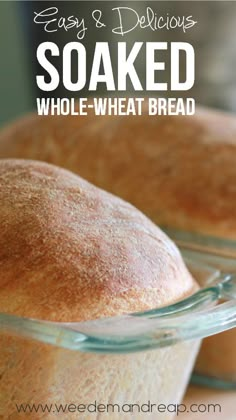 baked whole wheat bread in a glass dish with text overlay that reads easy and delicious soaked whole wheat bread