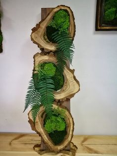 a wooden sculpture with green plants in it