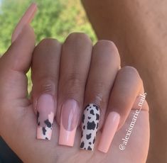 Pink Nails Acrylic, Cow Print Nails, Short Coffin Nails Designs, Concert Nails