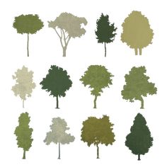 the silhouettes of trees are shown in different colors