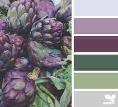 purple artichokes with green leaves are displayed in the color palette for this photo