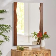 a mirror sitting on top of a wooden dresser next to a potted palm tree