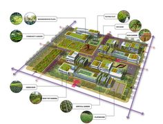 an aerial view of a green roof garden