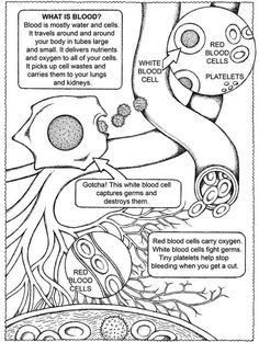 the diagram shows how blood cells are attached to an animal's body and what it looks like