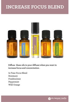 doTERRA Increase Focus Blend Recipe Focus Blend, Doterra Diffuser Blends, Essential Oil Diffuser Recipes