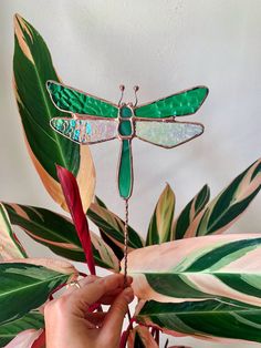 a hand holding a green dragonfly on top of a plant