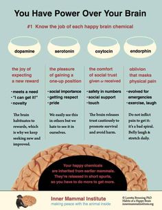 Brain Chemicals, This Is Your Life, Physical Pain, Neurology, Brain Health