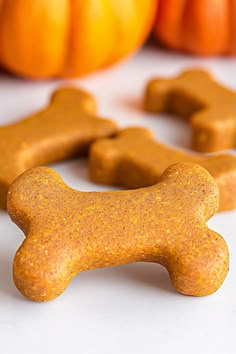 a dog bone shaped cookie next to pumpkins