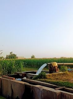 Tube well in Punjab village to irrigates the Crops  like rice, wheat, Corn etc. Tube Well In Village, Punjab Aesthetic, Indian Farming, Nature Evening, Indian Elements, Creative Snapchats, Corn Crop, Farm Restaurant