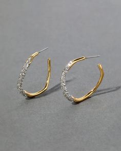 The Medium Two Tone Pave Hoop Earrings feature dual powers of champagne crystal pave and 14k gold plated metalwork in a classic hoop design. Pave Hoop Earrings, Alexis Bittar Jewelry, Brass Hoop Earrings, Brass Hoops, Hoop Design, Steel Post, Alexis Bittar, Jewelry Case, Gold Hoop Earrings