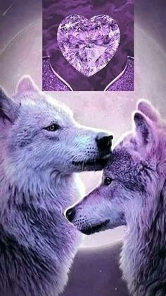 two white wolfs facing each other in front of a purple background with a diamond heart