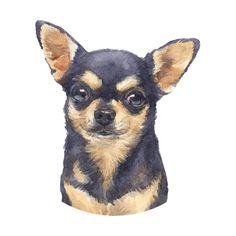 a watercolor painting of a small dog's head with big ears and eyes