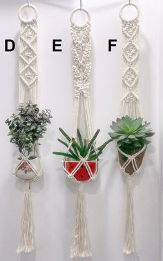 three macrame plant hangers with plants in them and one hanging on the wall