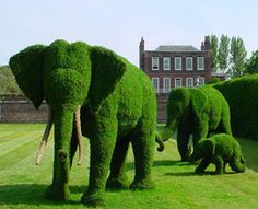 two elephants made out of grass in front of a building with the words, john 2 7